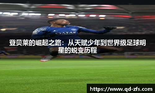 好博(中国)体育